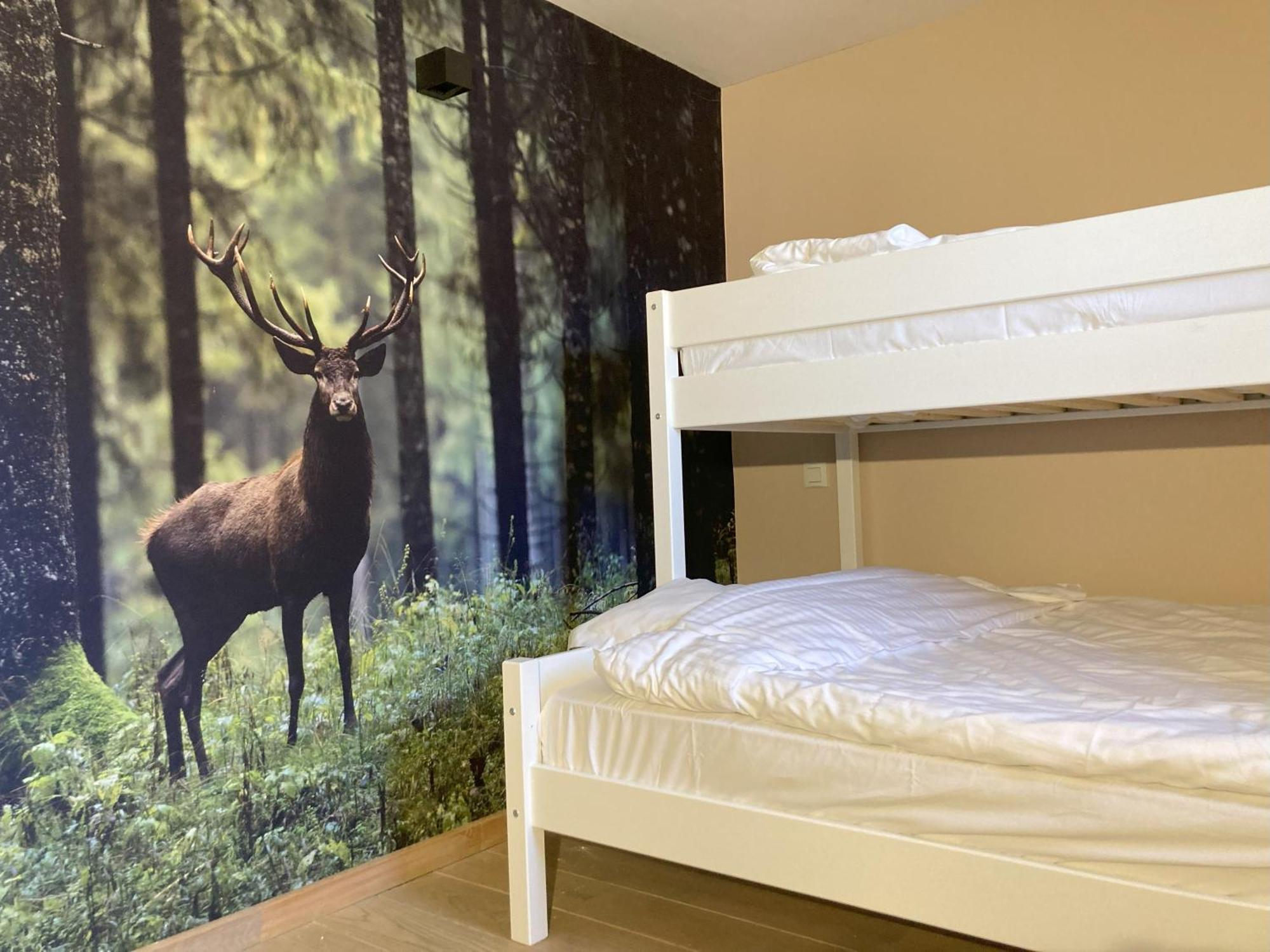 Ma Bauge Bed & Breakfast Libin Dış mekan fotoğraf